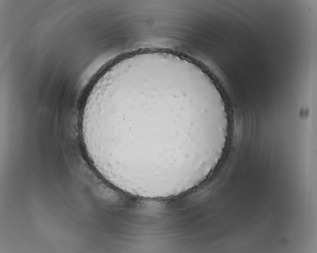 X0000112140878200909041037