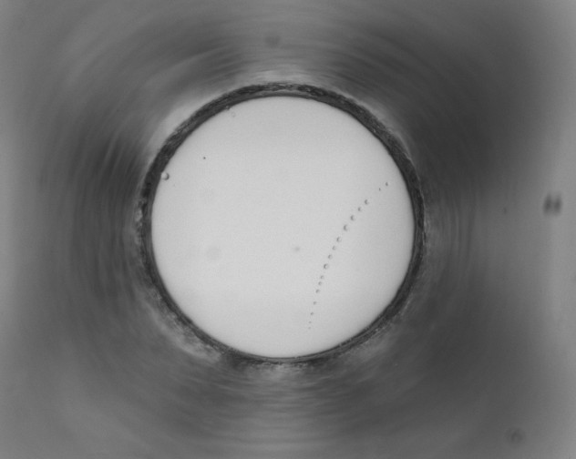 X0000112140879200909041037