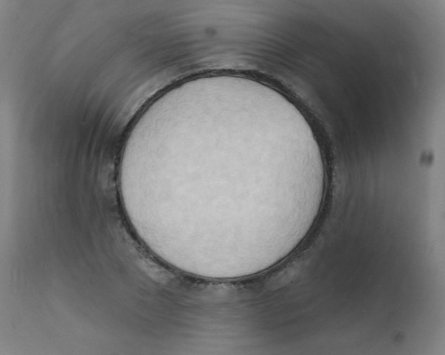 X0000112140881200909041037