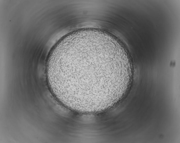 X0000112140882200909041037