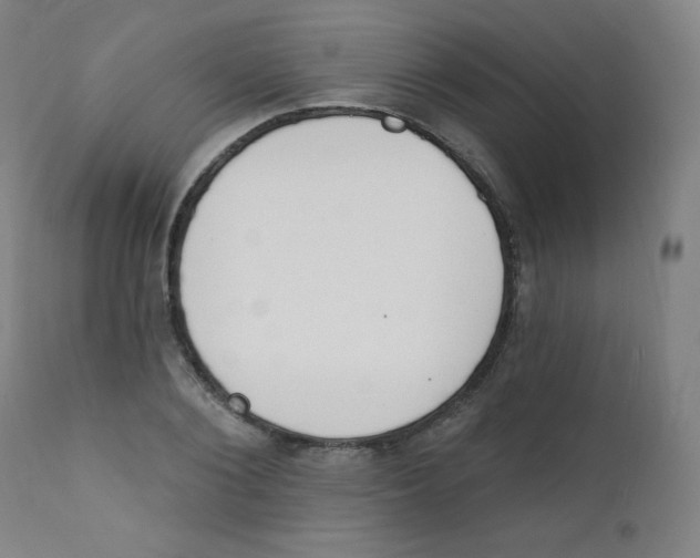 X0000112140884200909041037