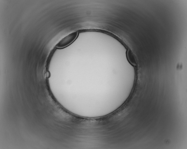 X0000112140885200909041037