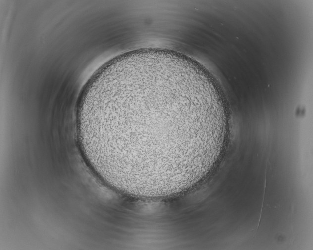 X0000112140886200909041037