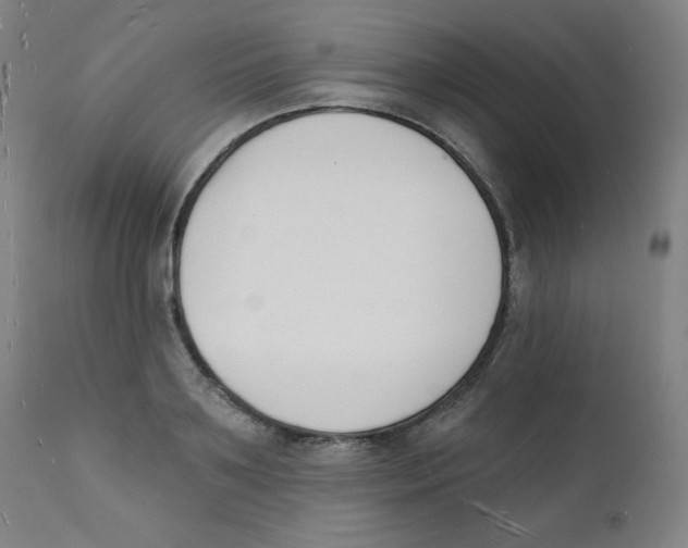 X0000112140891200909041037