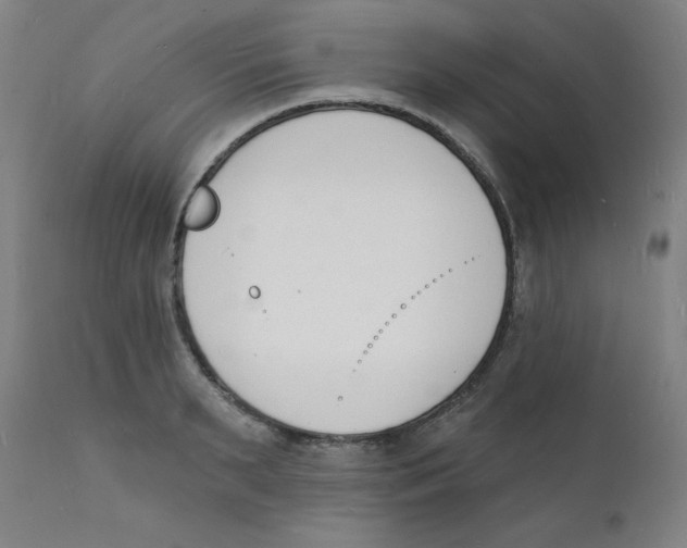 X0000112140895200909041037