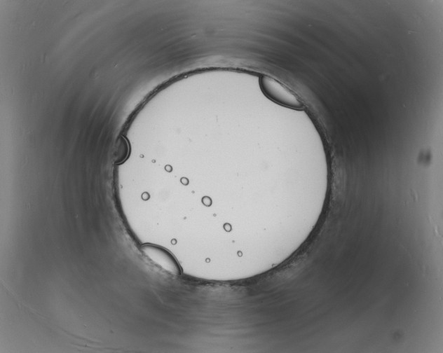 X0000112140896200909041037