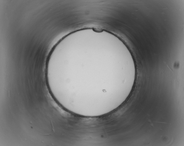 X0000112140902200909041037