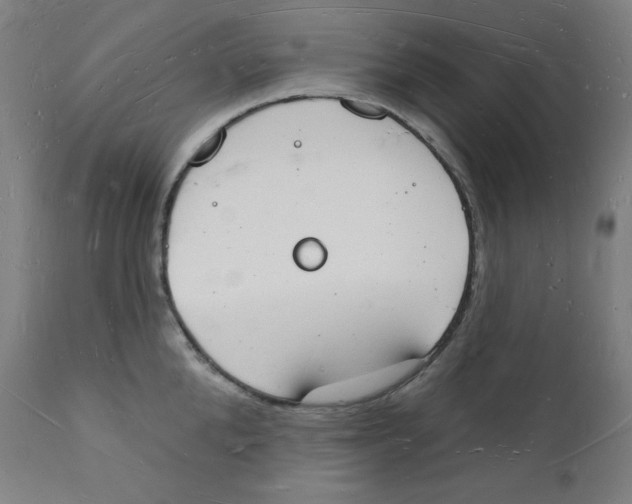 X0000112140904200909041036