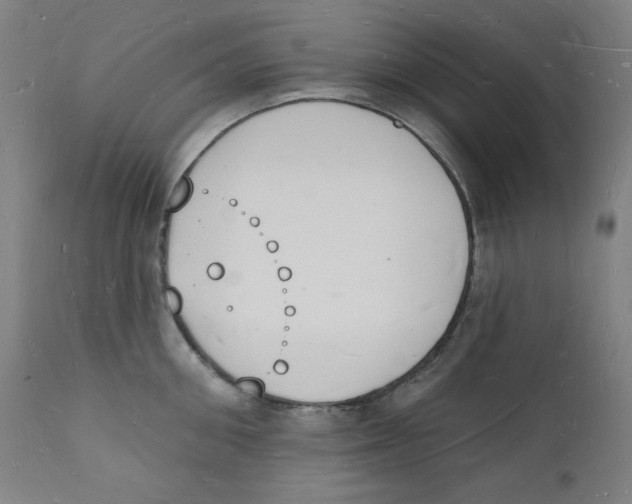 X0000112140906200909041036