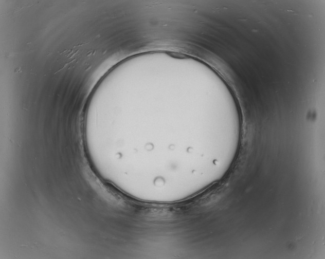 X0000112140907200909041036