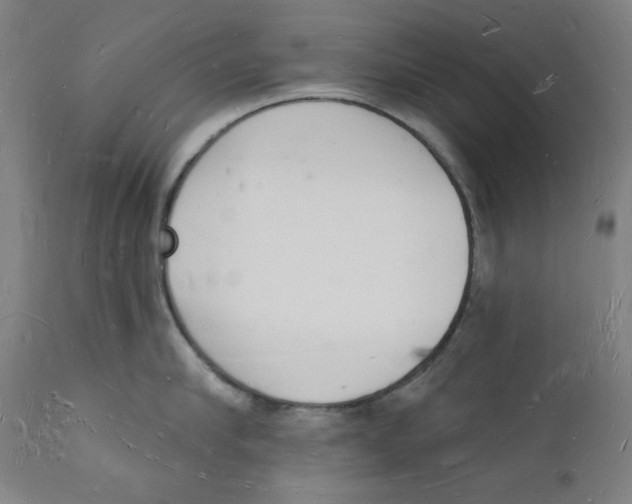 X0000112140910200909041036