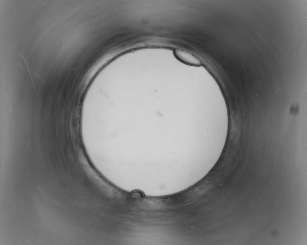 X0000112140911200909041036