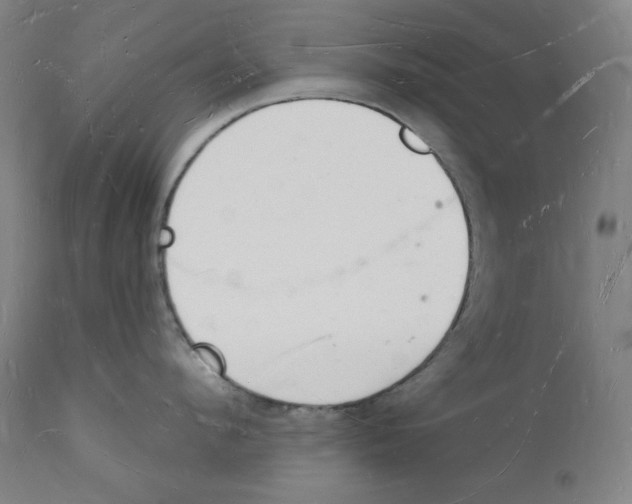 X0000112140912200909041036