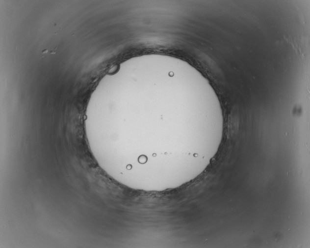 X0000112140917200909041036