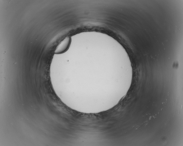 X0000112140919200909041036