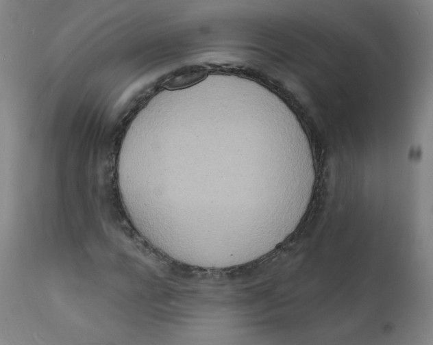 X0000112140920200909041036