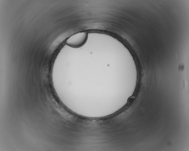 X0000112140922200909041036