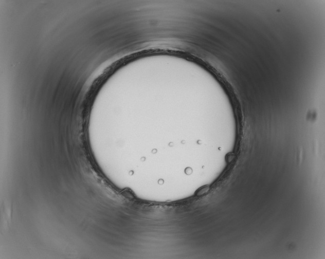 X0000112140923200909041036