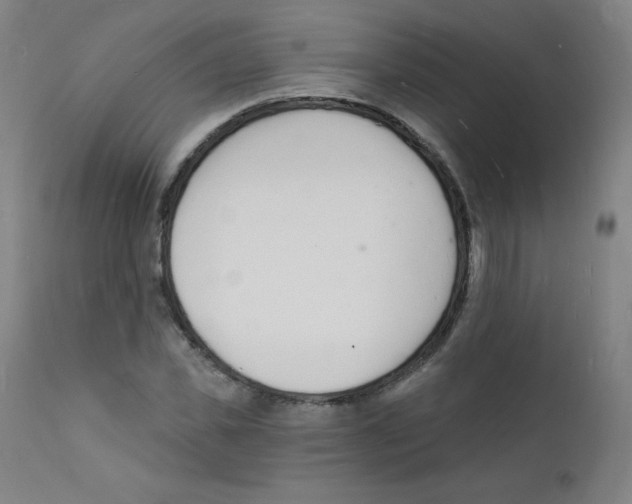 X0000112140925200909041036