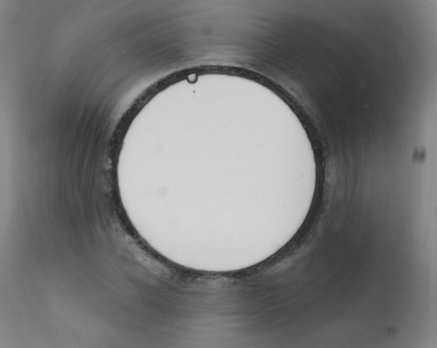 X0000112140926200909041036