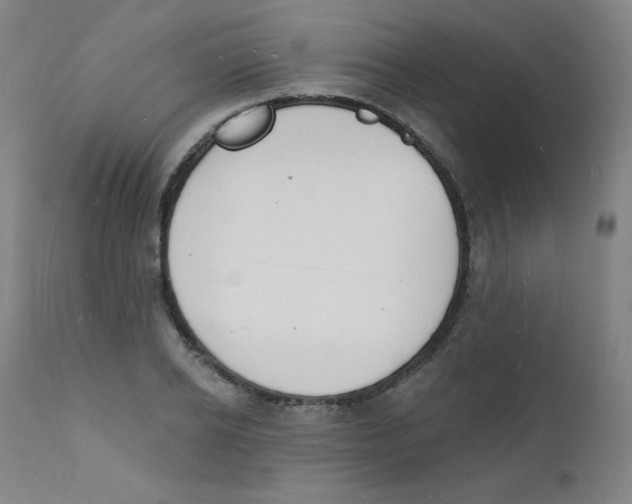 X0000112140934200909041036