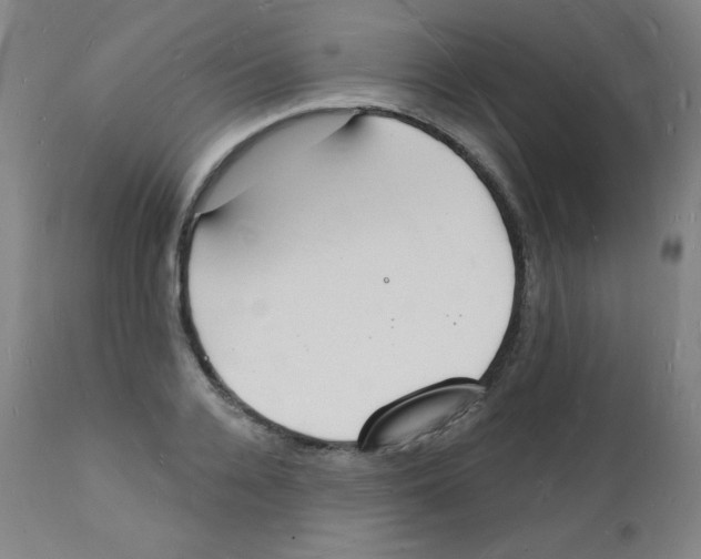 X0000112140936200909041036