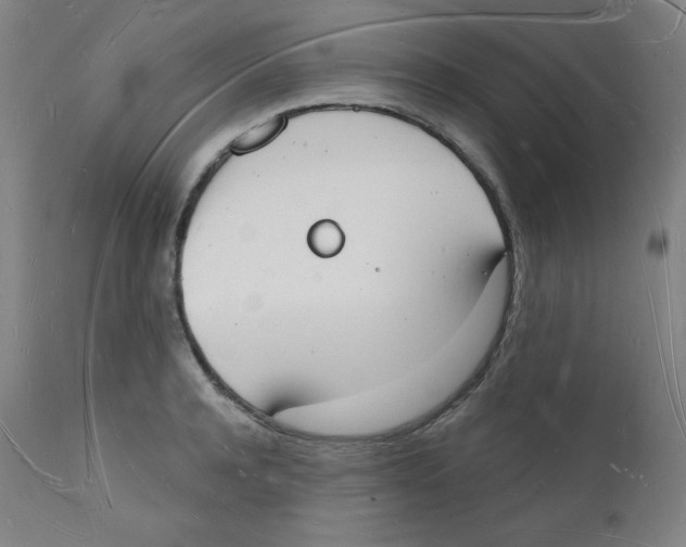 X0000112140944200909041036