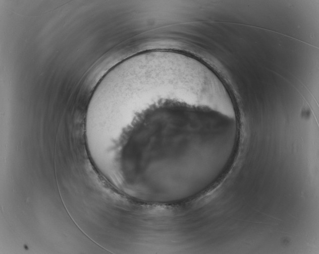 X0000112140945200909041036