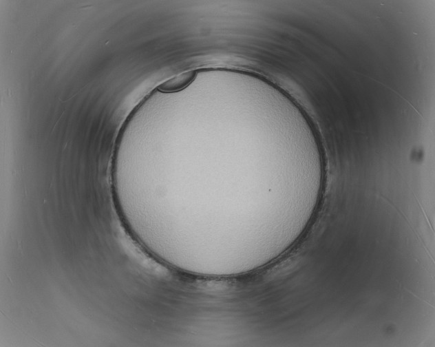 X0000112140946200909041036