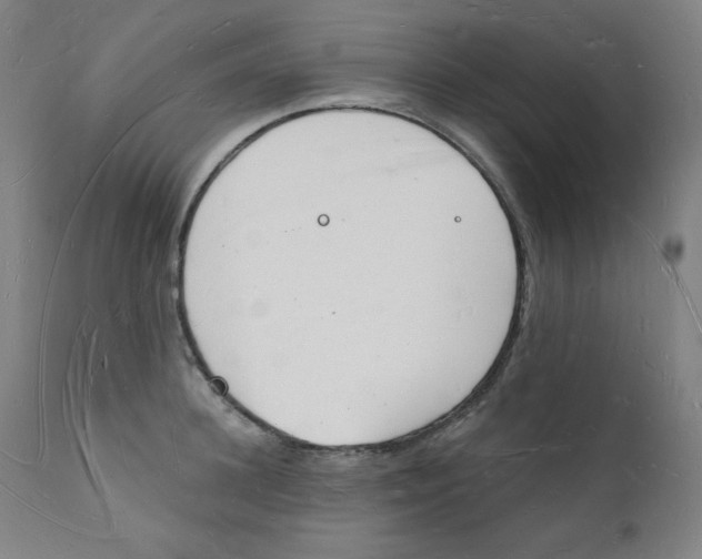 X0000112140948200909041036