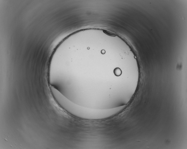 X0000112140952200909041036