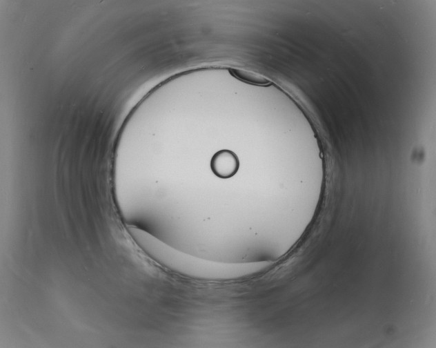 X0000112140956200909041036