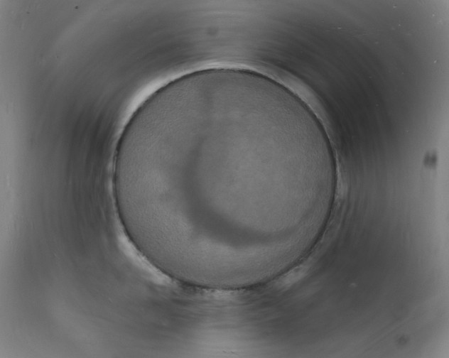 X0000112140958200909041036