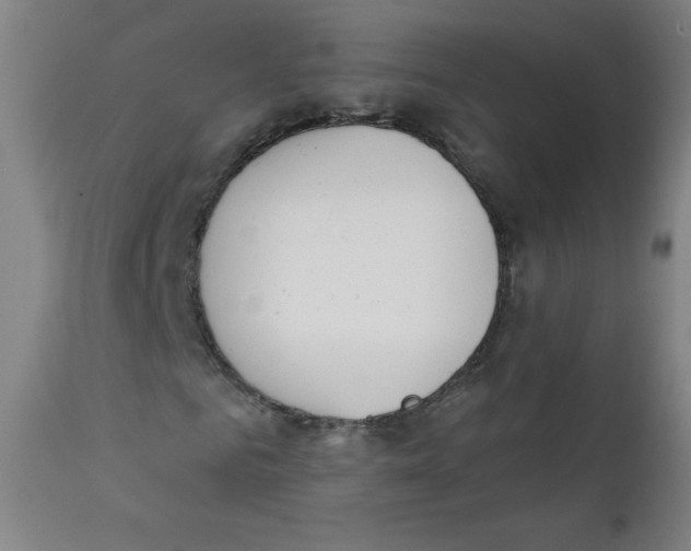 X0000112140961200909041036