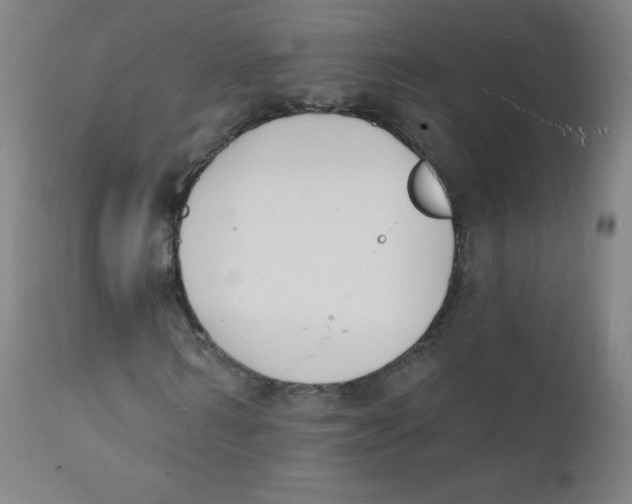 X0000112140962200909041036