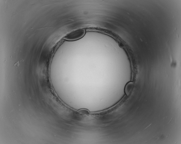 X0000112140969200909041035