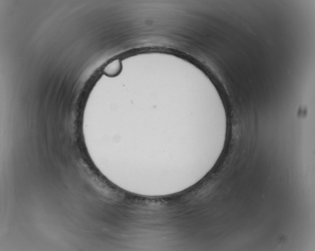 X0000112140975200909041035