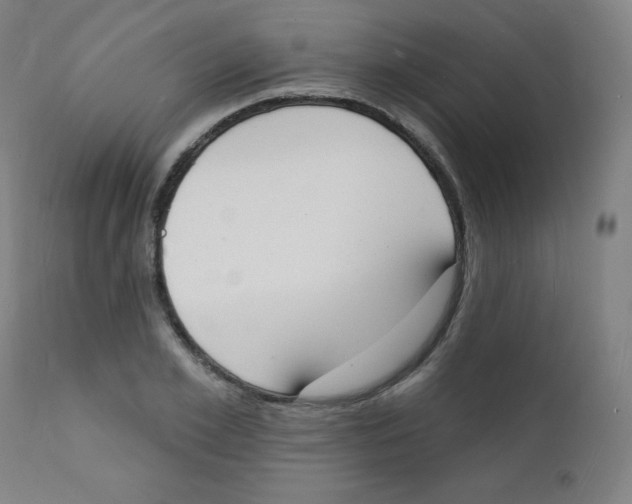 X0000112140981200909041035