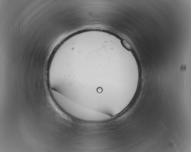 X0000112140989200909041035