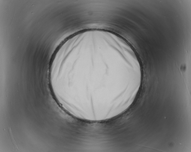 X0000112140992200909041035