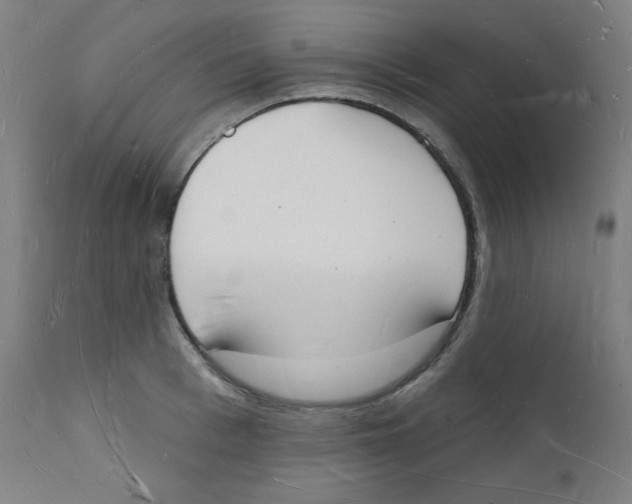 X0000112140993200909041035