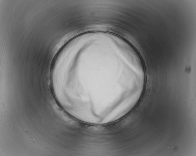 X0000112140994200909041035