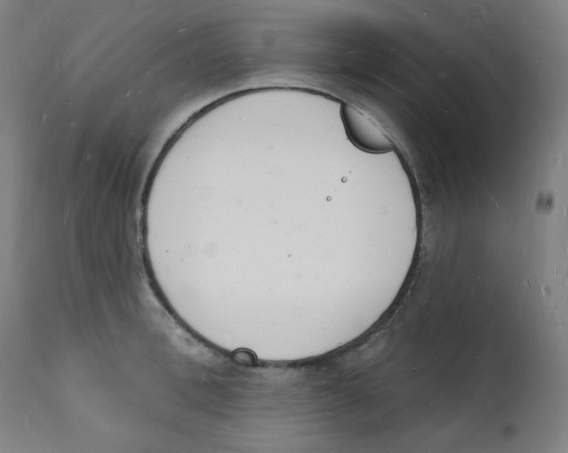 X0000112140996200909041035