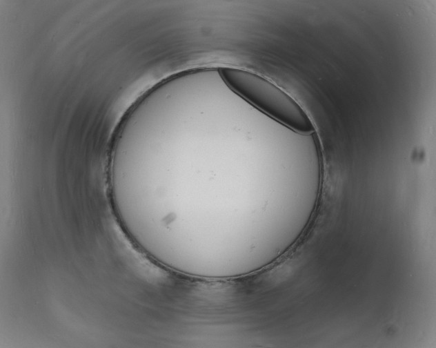 X0000112140997200909041035