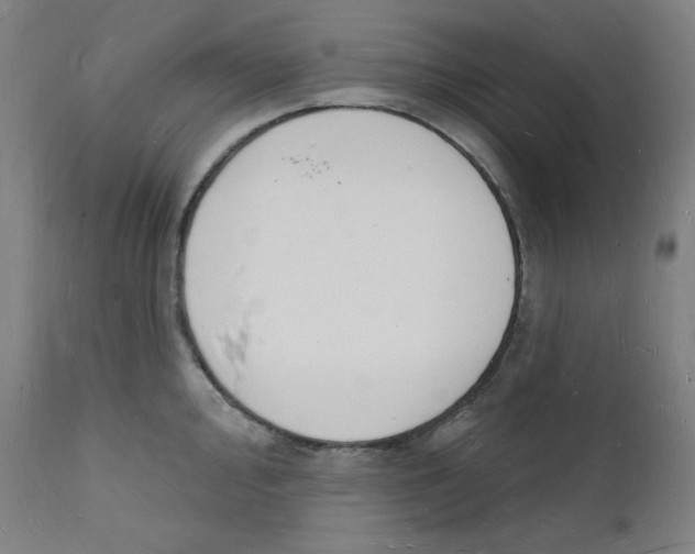 X0000112141000200909041035