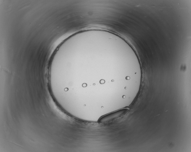 X0000112141003200909041035