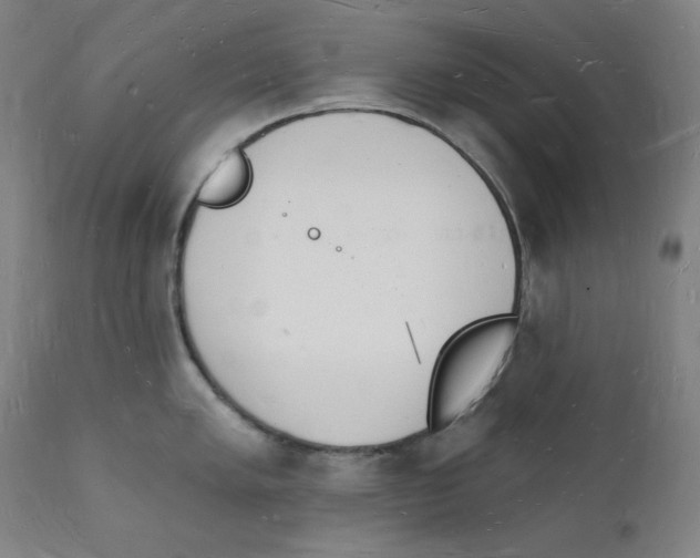 X0000112141005200909041035