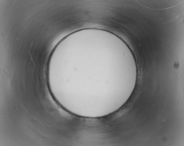 X0000112141007200909041035