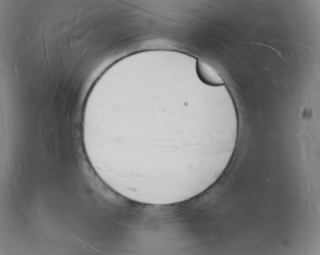 X0000112141008200909041035