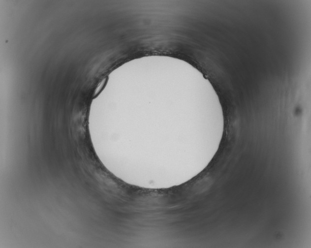 X0000112141010200909041034